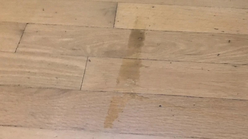 inse w5 cordless wet dry vacuum review by gadgeteer-11