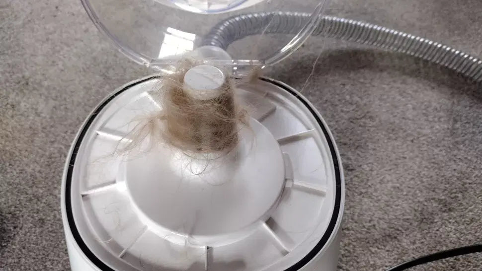 inse-p20-pro-dog-grooming-kit-review from toptenreviews-10