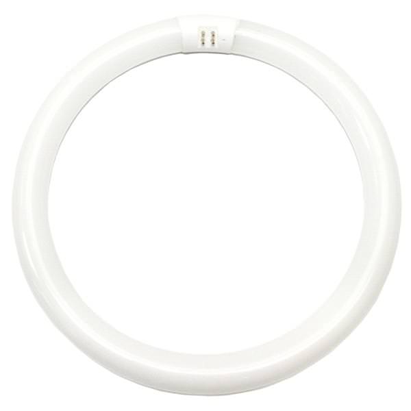 Westinghouse 06030 40 Watt T9 Fluorescent Circline Bulb 16