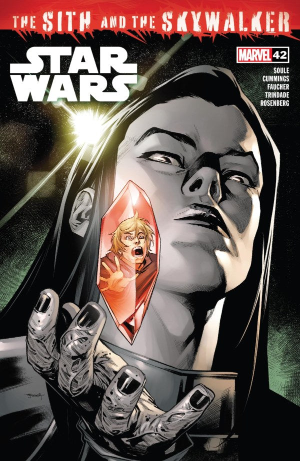 Star Wars Issue #42 January 2024 Cover A Comic Book