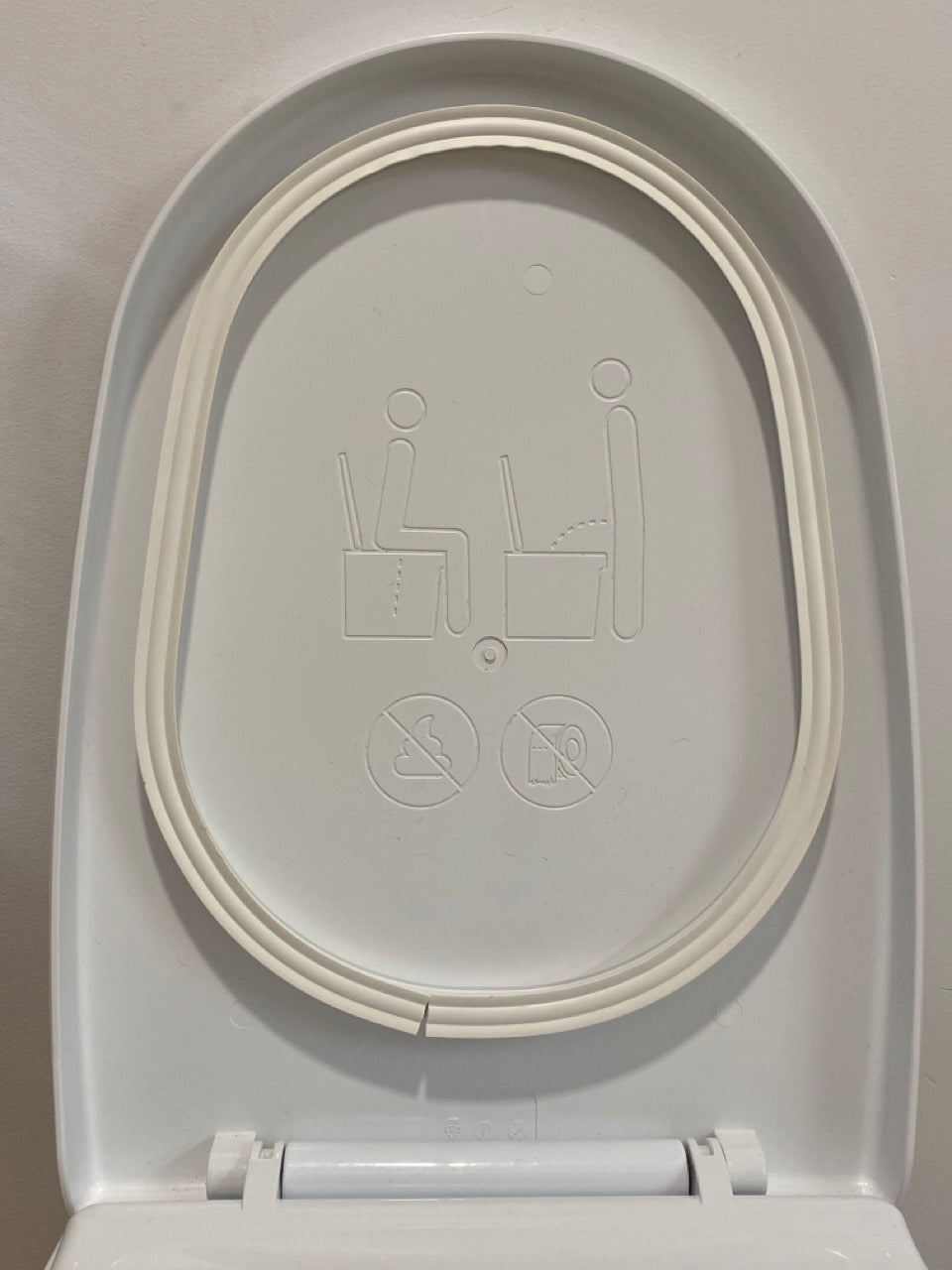 Cinderella? Urinal Gasket