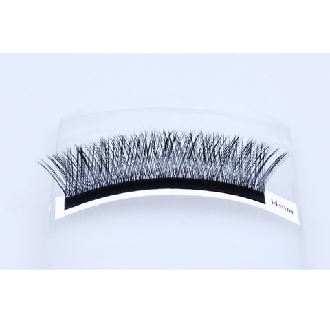 Lash Extensions