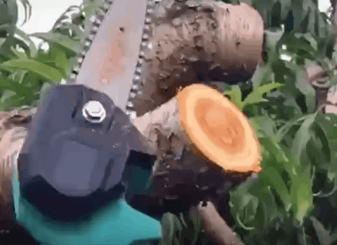 Pointmarts mini chainsaw deals
