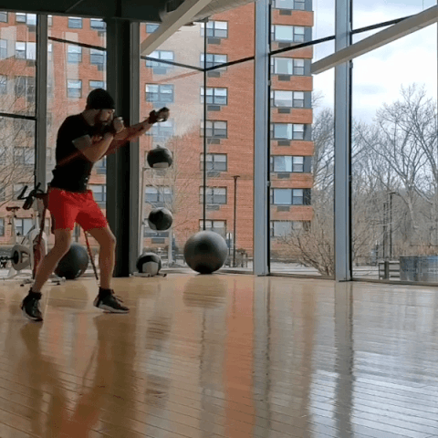 fight skills training tool