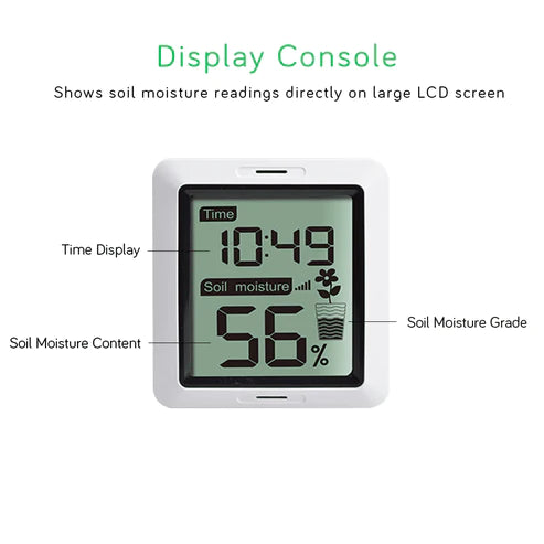 Ecowitt Combo Pack (Display Console + Sensor)