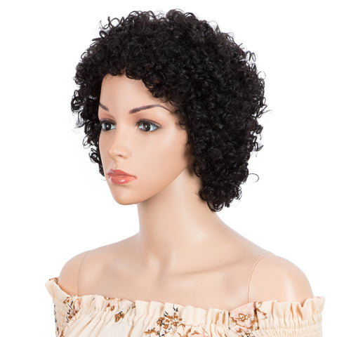 Glueless Lace Front Human Hair Wigs