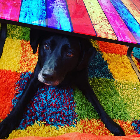 Modern Vibrant Colors Coffee Table With Printing Glass Top