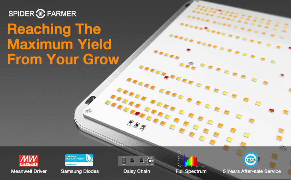 Reaching the maximum yield from your grow