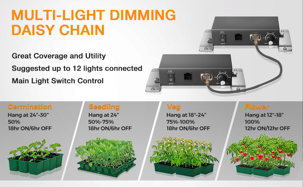 Multi-light Dimming daisy chain