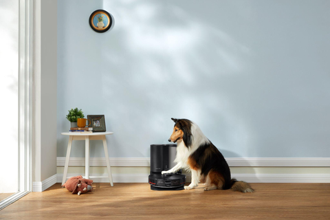 Les pattes du chiot sur l'aspirateur robot Roborock, mais cela n'affecte pas le fonctionnement normal de la machine.