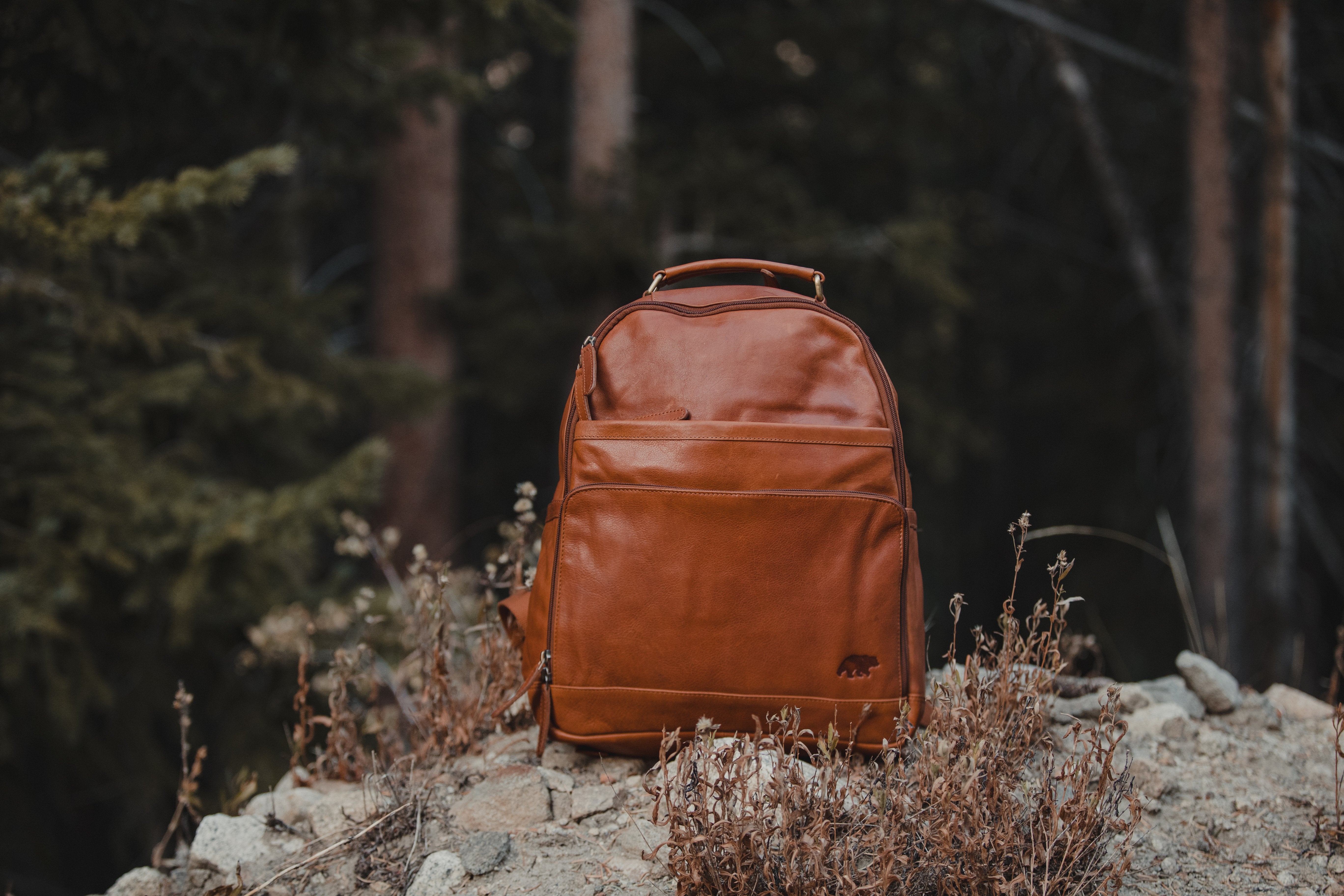 Katmai Leather Backpack