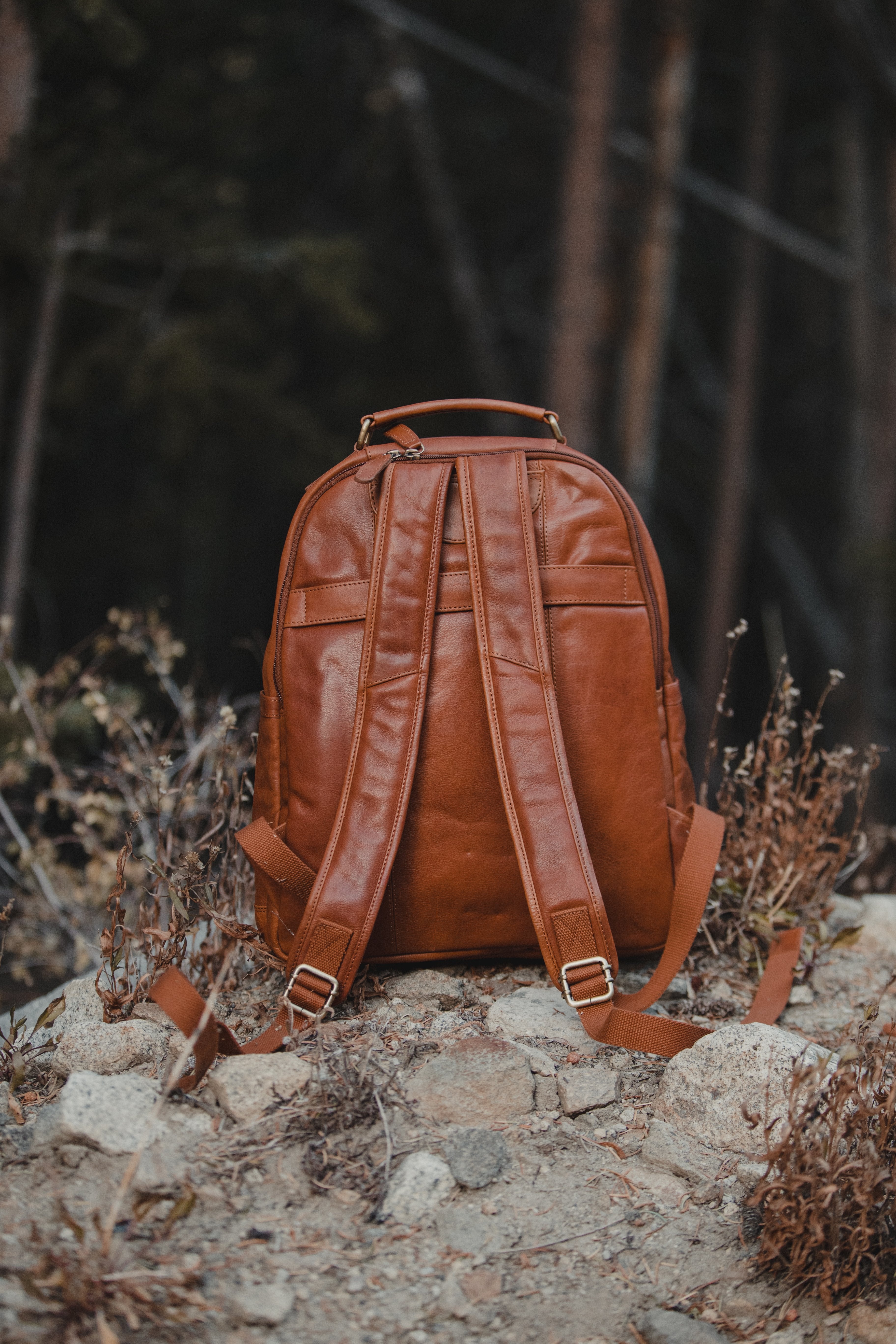 Katmai Leather Backpack