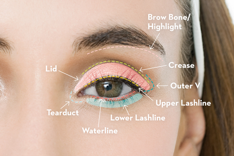 Eye Makeup Brush Guide For Beginners