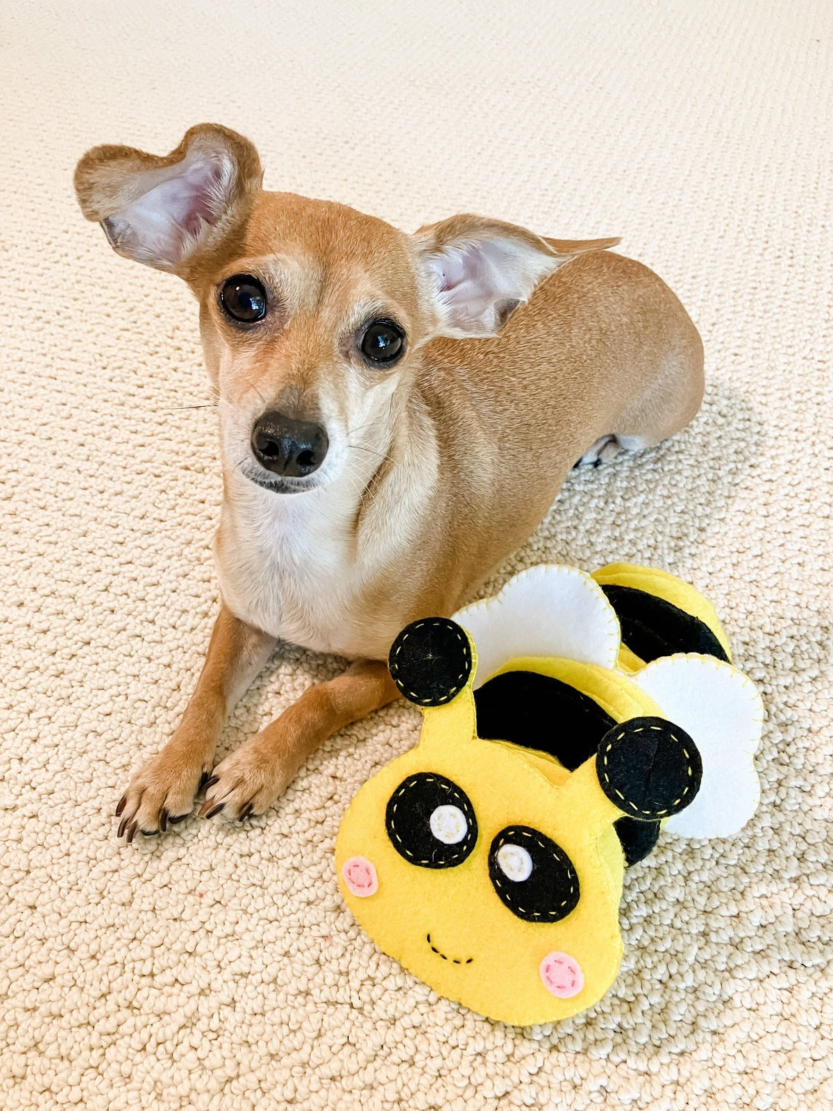 Hound Hugger DIY Busy Bee Snuffle Pattern Kit