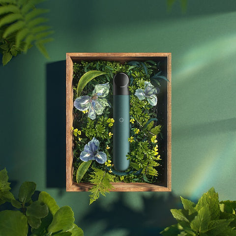 infinity-forest-allure