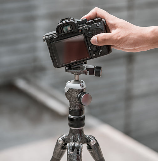 Beetle Camera Clip - quick release plate for tripod