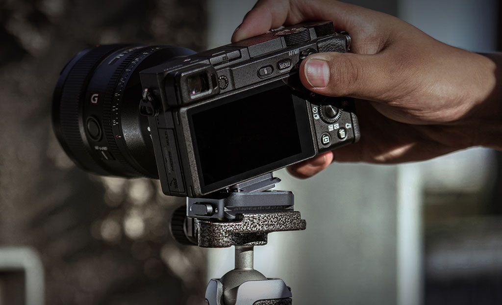 Pytech Arca-Typ Schnellfreisetzungsklemme & Platte