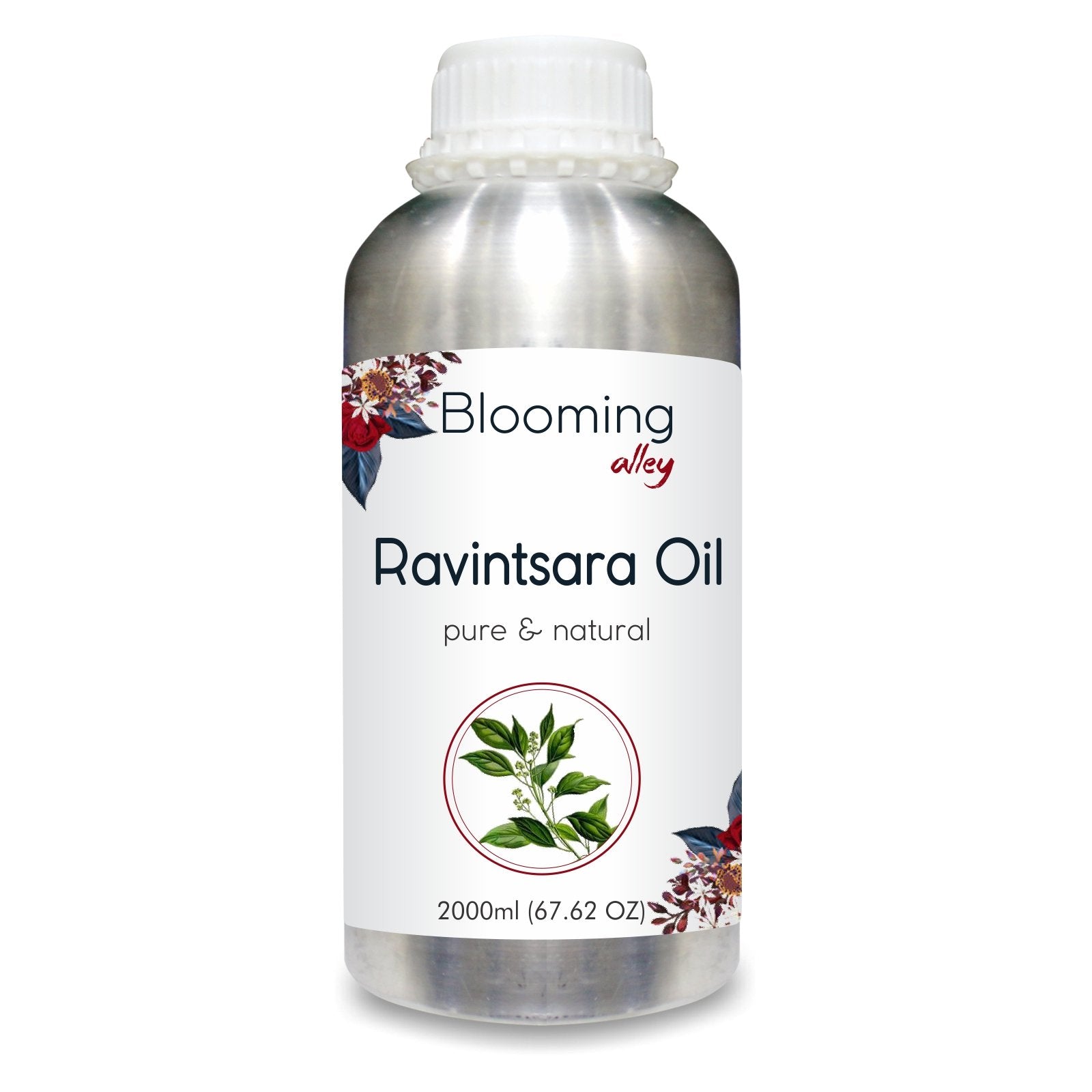 Ravintsara Oil (Cinnamomum Camphora) 100% Natural Pure Essential Oil