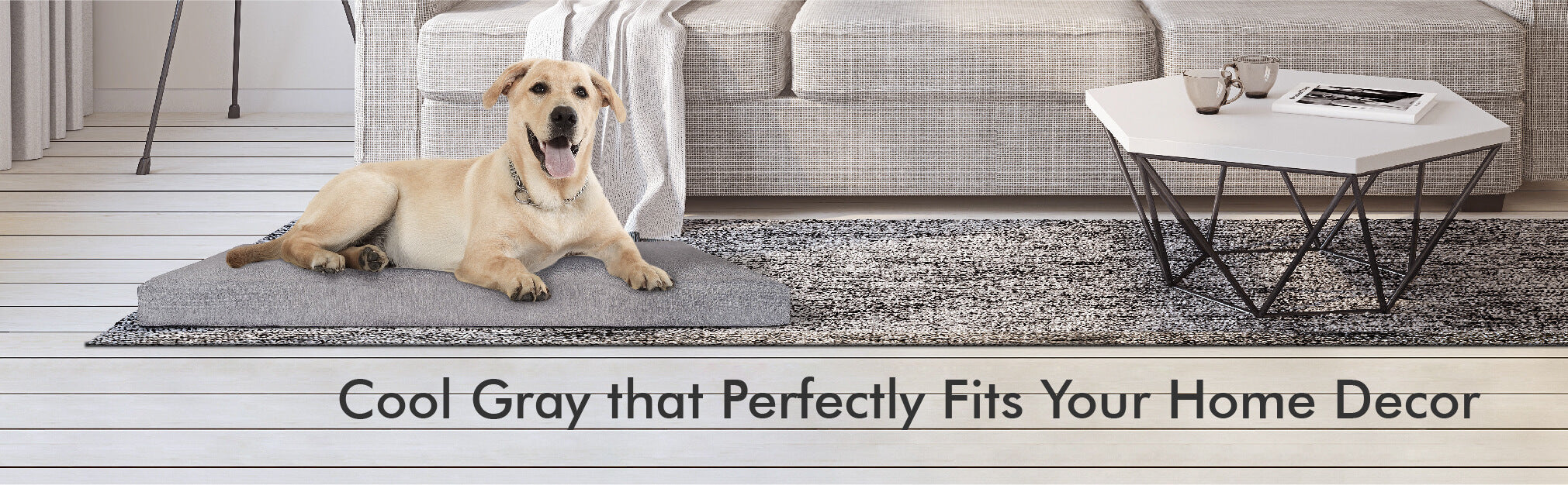 Petlibro Pet Bed Banner