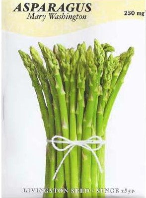 Asparagus Mary Washington