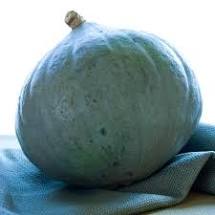 Squash - HUBBARD BLUE