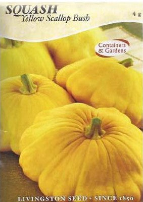 Squash - YELLOW SCALLOP BUSH