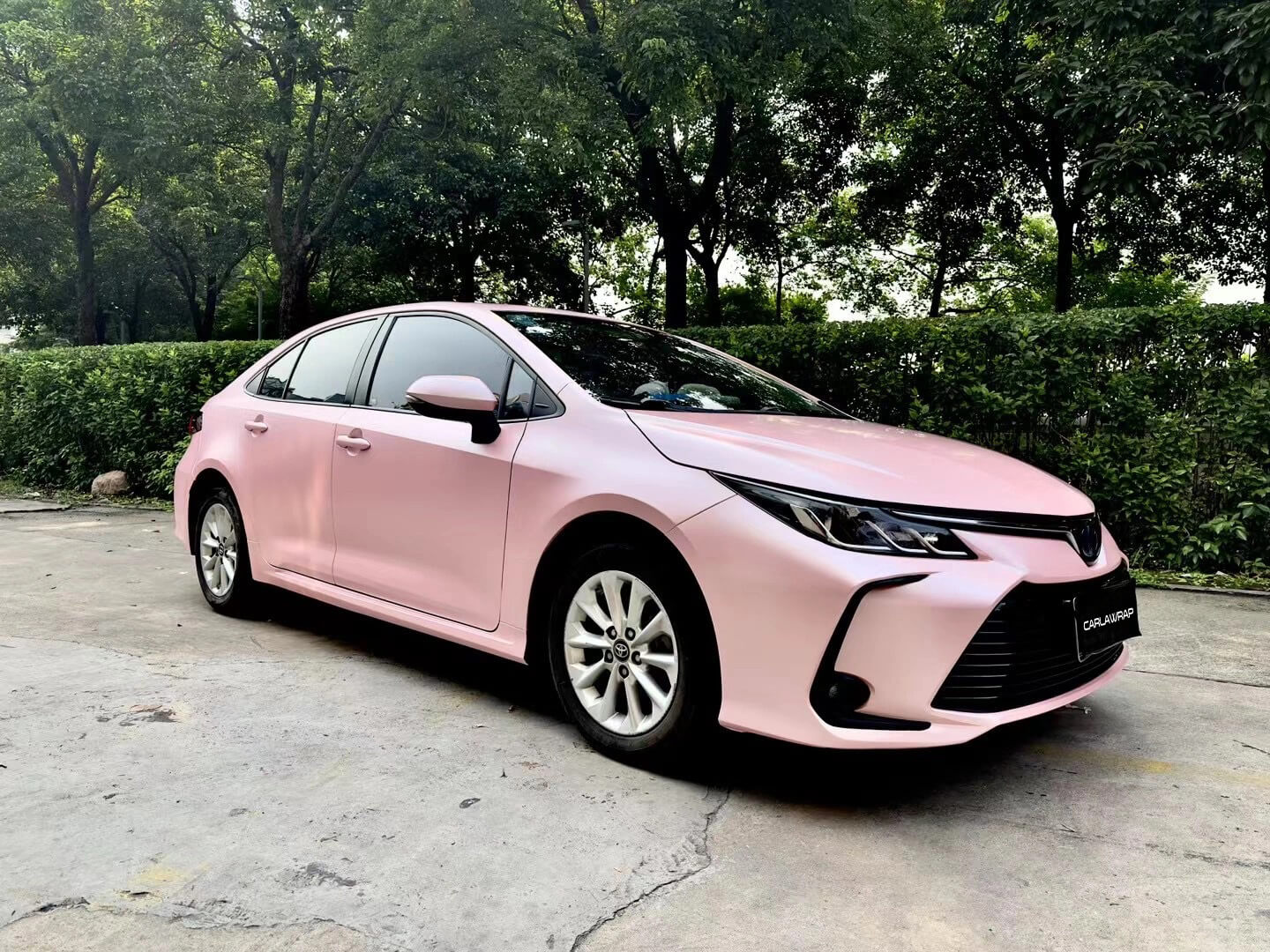 Toyota Riize Pink Toyota Light Pink Matte Car Wrap – carlawrap