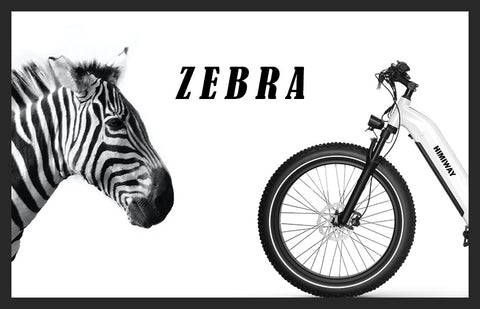Himiway Zebra