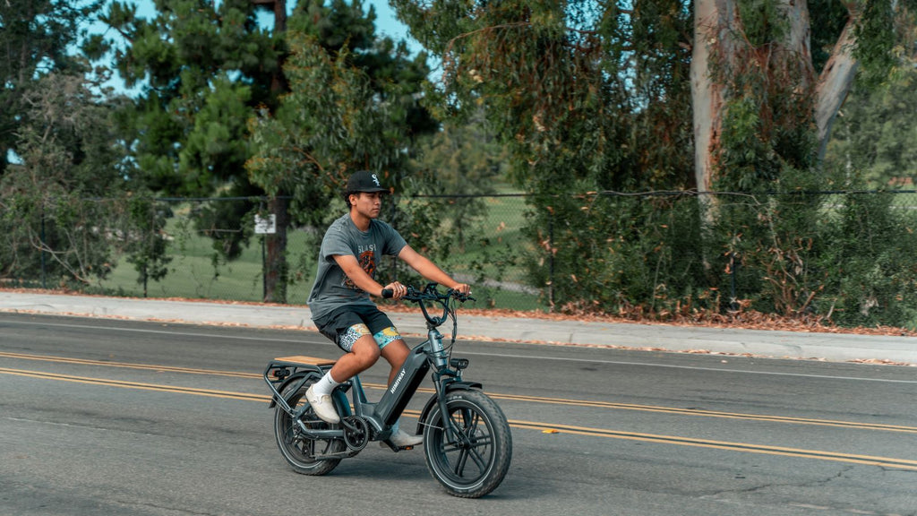 ebike for seniors