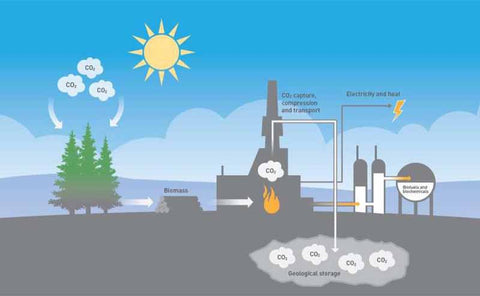 Carbon Dioxide Emission and Carbon Neutrality