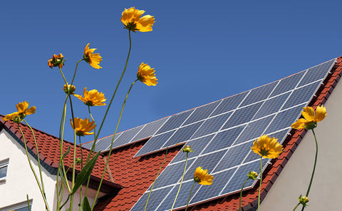 roof-mounted solar panel