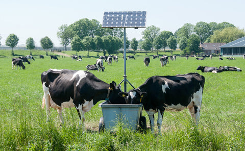 solar installation in farm