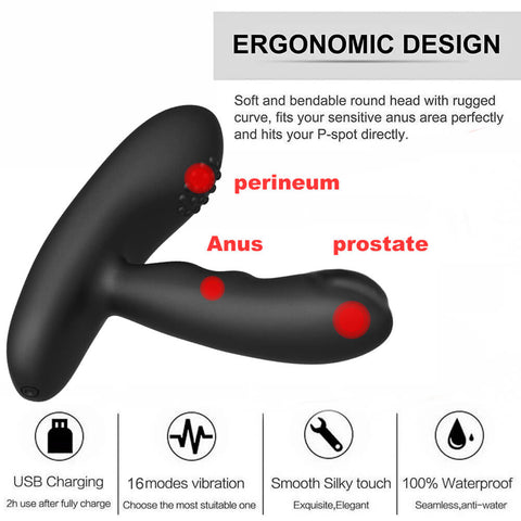 LEVETT Men Prostate Massager Vibrators Anal Vibrating Butt Plug