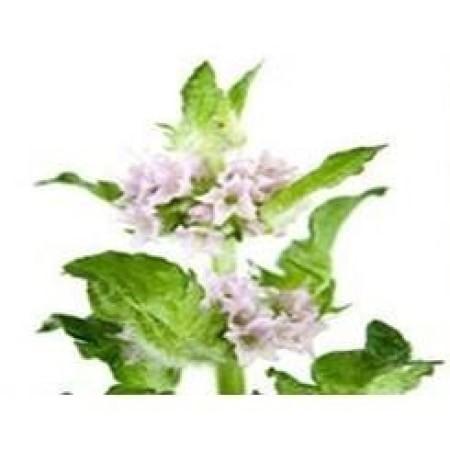 Patchouli Essential Oil (Dark)