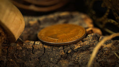 The Fate Coin