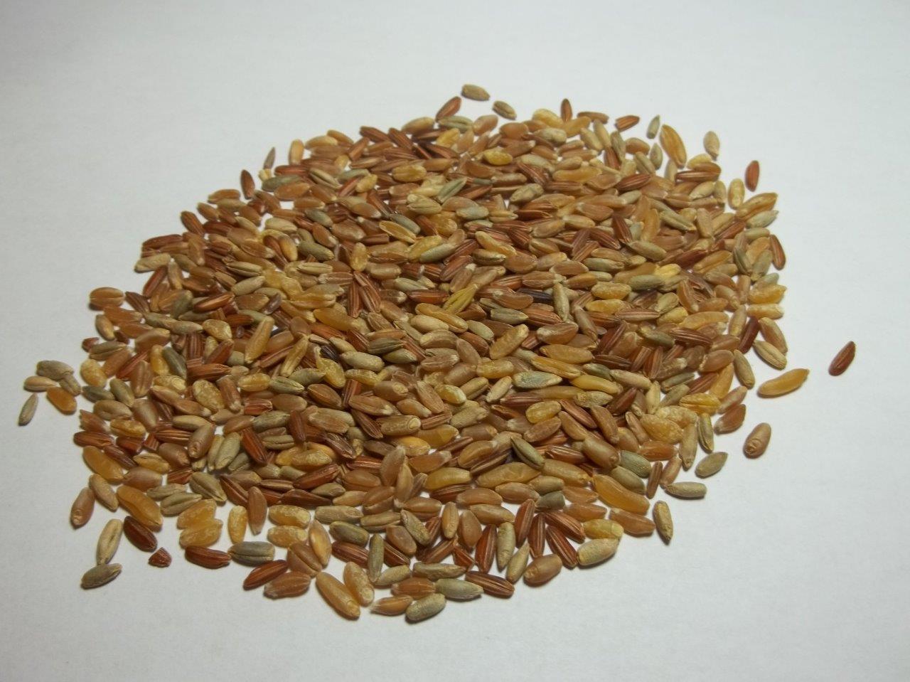 Heritage Rice & Grain Blend