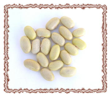 Peruano Beans