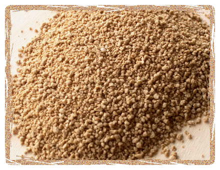 Organic Whole Cane Sugar