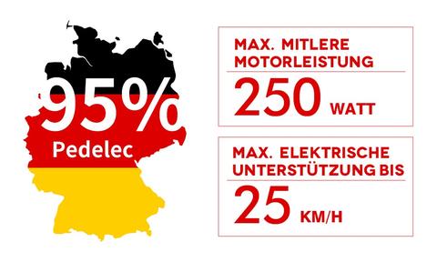 ebikes vs pedelec