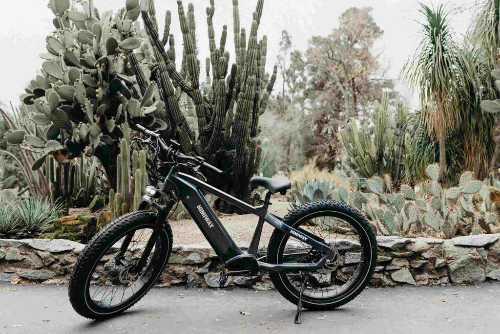 Elektrisches Step Over Fatbike