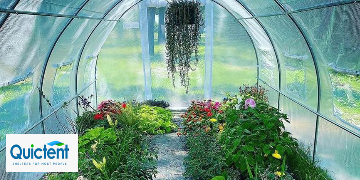 big-greenhouse