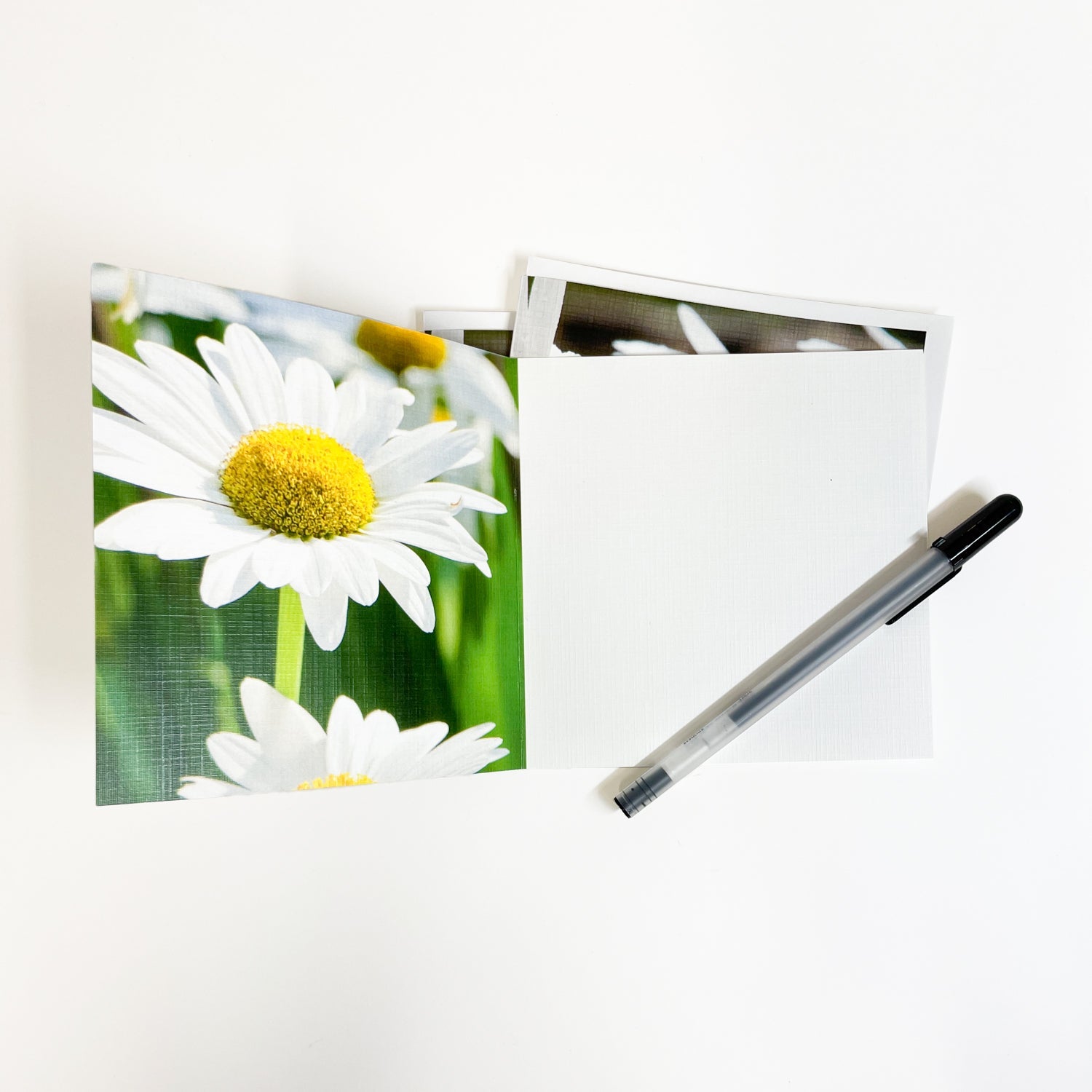 Daisies & Dew Greeting Card