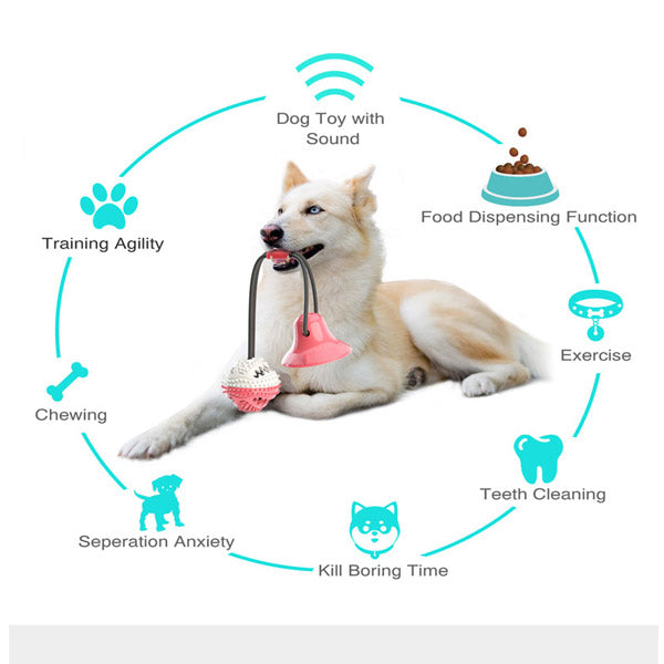 dog chew toys
