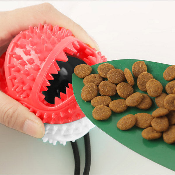 Dog Interactive Food Dispenser