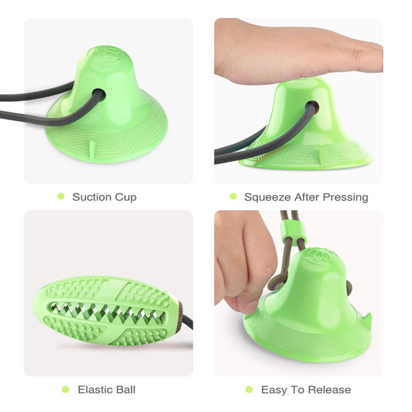 Dog Toy