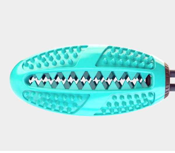 dog toy