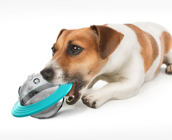 Dog UFO Treat Toys