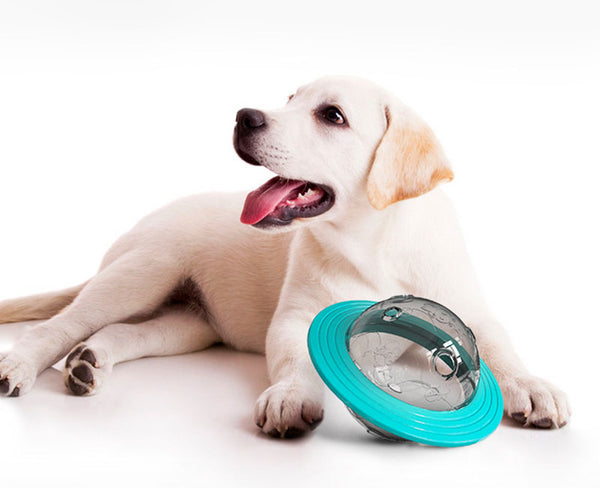 Dog UFO Treat Toys