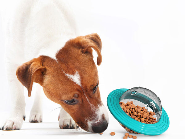 Dog UFO Treat Toys