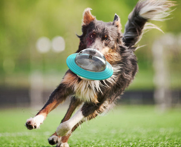 Dog UFO Treat Toys